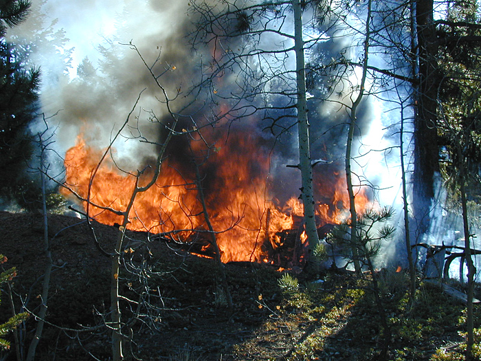 fire, Woodland Park, wildland fire, controlled burn photo